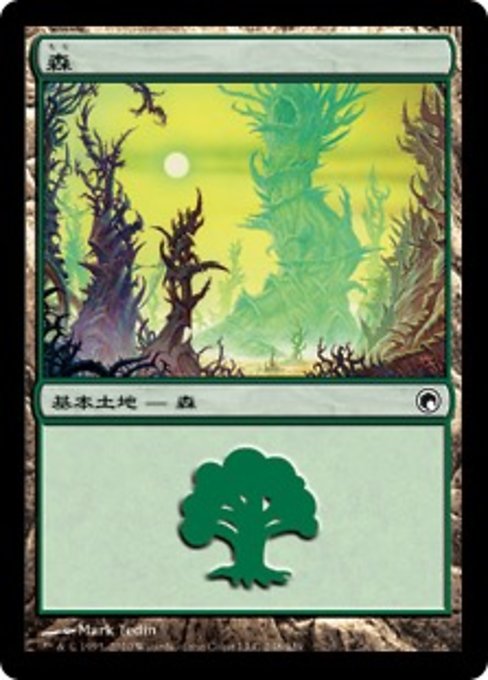 森