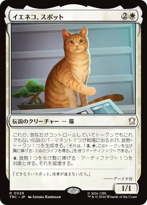 イエネコ、スポット