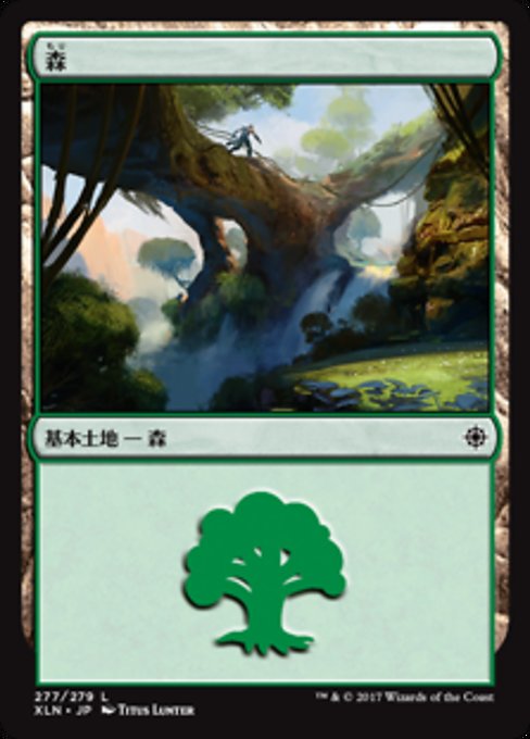 森